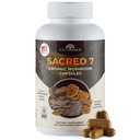 Naturealm Sacred 7 Organic Mushroom Extract Capsules - Premium 7 Mushroom Supplement with Lions Mane, Reishi, Chaga - USDA Organic Immune Support & Focus - 90 Vegetariánske kapsule