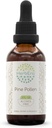 HerbEra Pine Pollen B60 Alkohol Voľný bylinný extrakt Tinktúra, koncentrované kvapalné kvapky prírodné (Song Hua Fen, Scots Pine, Pinus Sylvestris) 2 fl oz