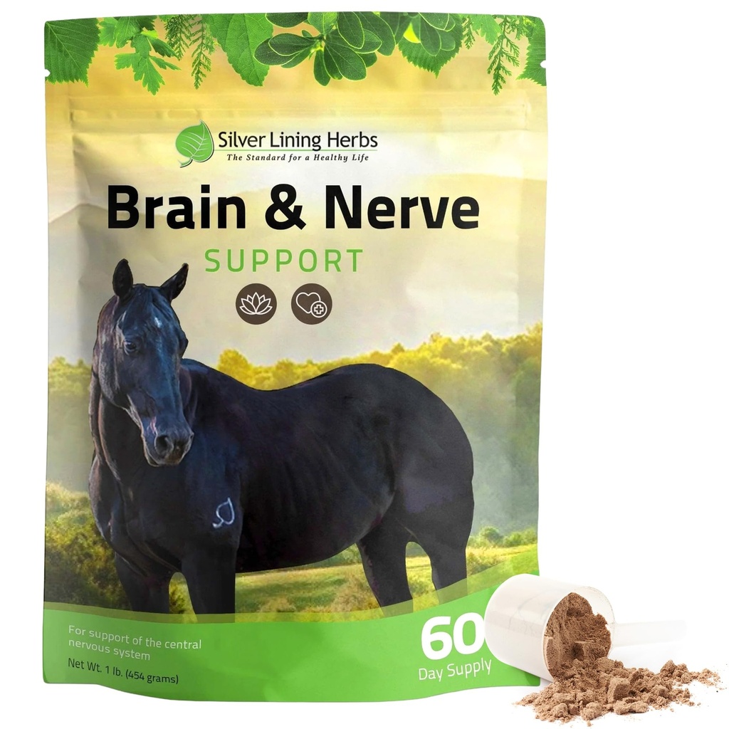 Strieborné ľanové bylinky Brain & Nerve Suplement pre kone - Konské doplnky pre zaostrenie, duševné zdravie a podporu mozgu - obsahuje bylinnú zmes ginka, Gotu Kola, a viac - 1 lb 60-Deň dodávky