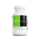 DAVINCI Labs Candid-Away - Podpora zdravia pri trávení, podpora imunitného systému s trávivými enzýmami, vápnikom, horčíkom a viac* - 90 Vegetariánskych kapsúl (30 servings)