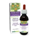 Naturalma Blessed Thitle or Holy Thitle (Cnicus benedictus) bylina s kvetmi Alkohol-Free Tinture - 4 fl oz Liquid Extract in Drops - Bylinné doplnok - Vegan