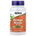 TERAZ Potraviny Ginkgo Biloba 60 mg 24% extrakt, 60 kapsúl