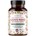 Plant.O Premium Lion Mane Supplement, All Natural Nootrops Brain Supplement, 5 Mušroom Complex 