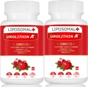 Lipozomálne Urolithin A Supplement 2000MG od Energy 120 Kapsule