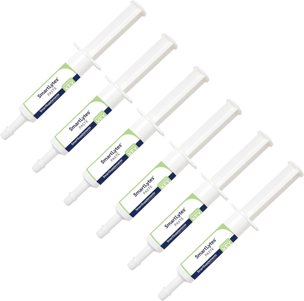 SmartLytes vložku Horse Electrolyte vložku 
