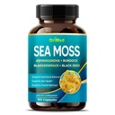Premium Sea Moss with Ashwagandha, Burdock Bladderwrack, Black Seed for Immune System, Skin, Trvanlivosť & Energy- Made in The USA (150 Počet (Pack of 1))
