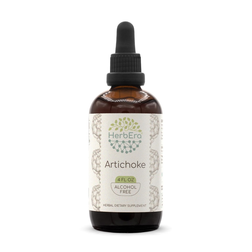 HerbEra Artičoky B120 Bezalkoholový bylinný extrakt Tinktúra, koncentrované kvapalné kvapky Prírodné artičoky (Cynara scolymus) (4 fl oz)