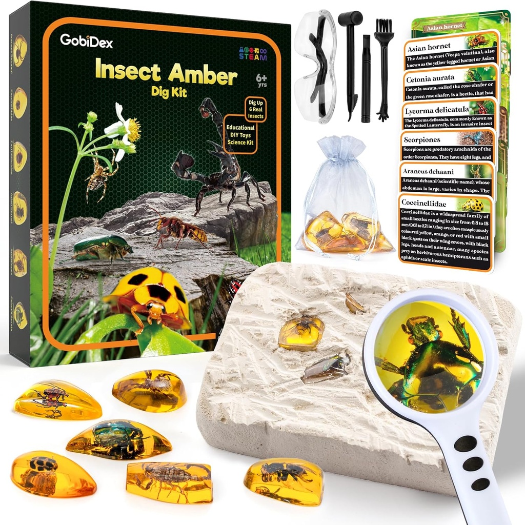 GobiDex Amber Dig Kit-Artificial Insect Resin, Excavate 6 Insects Exempláre, STEM Geographic Educational Bugs Hračky, vykopávky hračky pre zábavné chyby Party favors, Science Kits for Kids Age 6-8 8-12