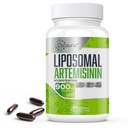 900 mg Lipozomálne Artemisinín pre maximálnu absorpciu, extrakt zo sladkej červice (Artemisia Annua) s Quercetinom Phytozome 200 mg, 60 Softgels - 2 mesiace dodávky