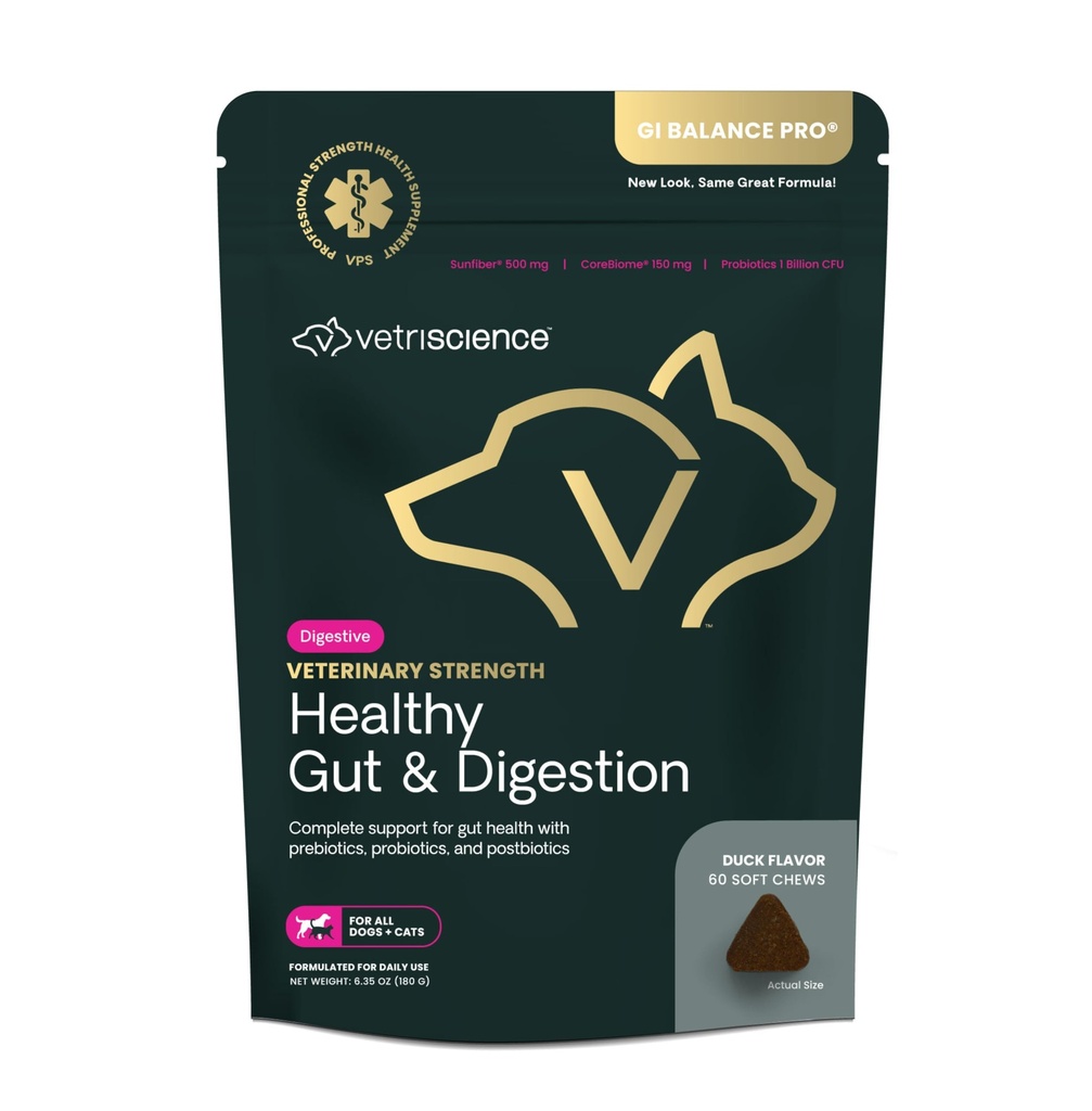 VetriScience Veterinary Strength Healthy Gut & Digestion - Pet Digestive Health Supplement for Cats & Psy - Gut Health & Immune Support - Features Probiotics, Prebiotics & Postbiotics - 60 Count