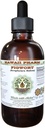 Figwort Liquid Extract bez obsahu alkoholu, Organic Figwort (Scrophulara Nodosa) Sušený Herb Glycerit Hawaii Pharm Natural Herbal Supplement 2 oz