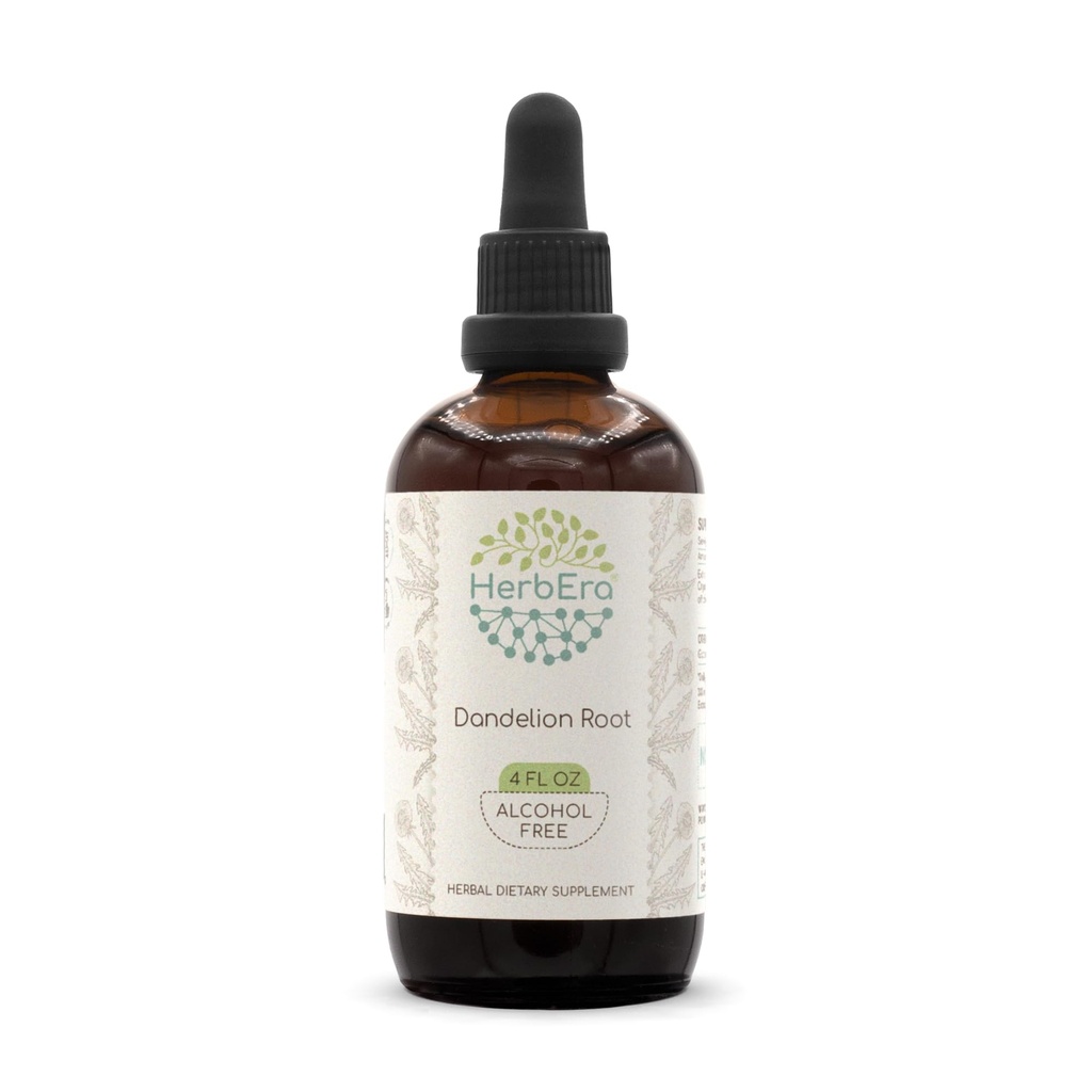HerbEra Dandelion Root B120 bezalkoholový bylinný extrakt Tinktúra, superkoncentrovaný púpava (Taraxacum Officinale) sušený koreň (4 fl oz)