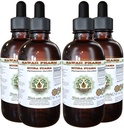 Muira Puama Liquid Extract bez obsahu alkoholu, Organic Muira Puama (Ptychopetalum Olacoides) Glycerit Natural Herbal Supplement, Hawaii Pharm, USA 4x4 oz