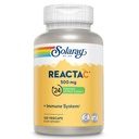 SOLARAY Reacta-C s 500mg vitamín C, 200mg Bioflavonoid koncentrát, imunitný systém Defense Vitamíny, Patented 24 hodín Imunita Booster podpora doplnok, Vegan, 120 Kapsule, 120 Servings.