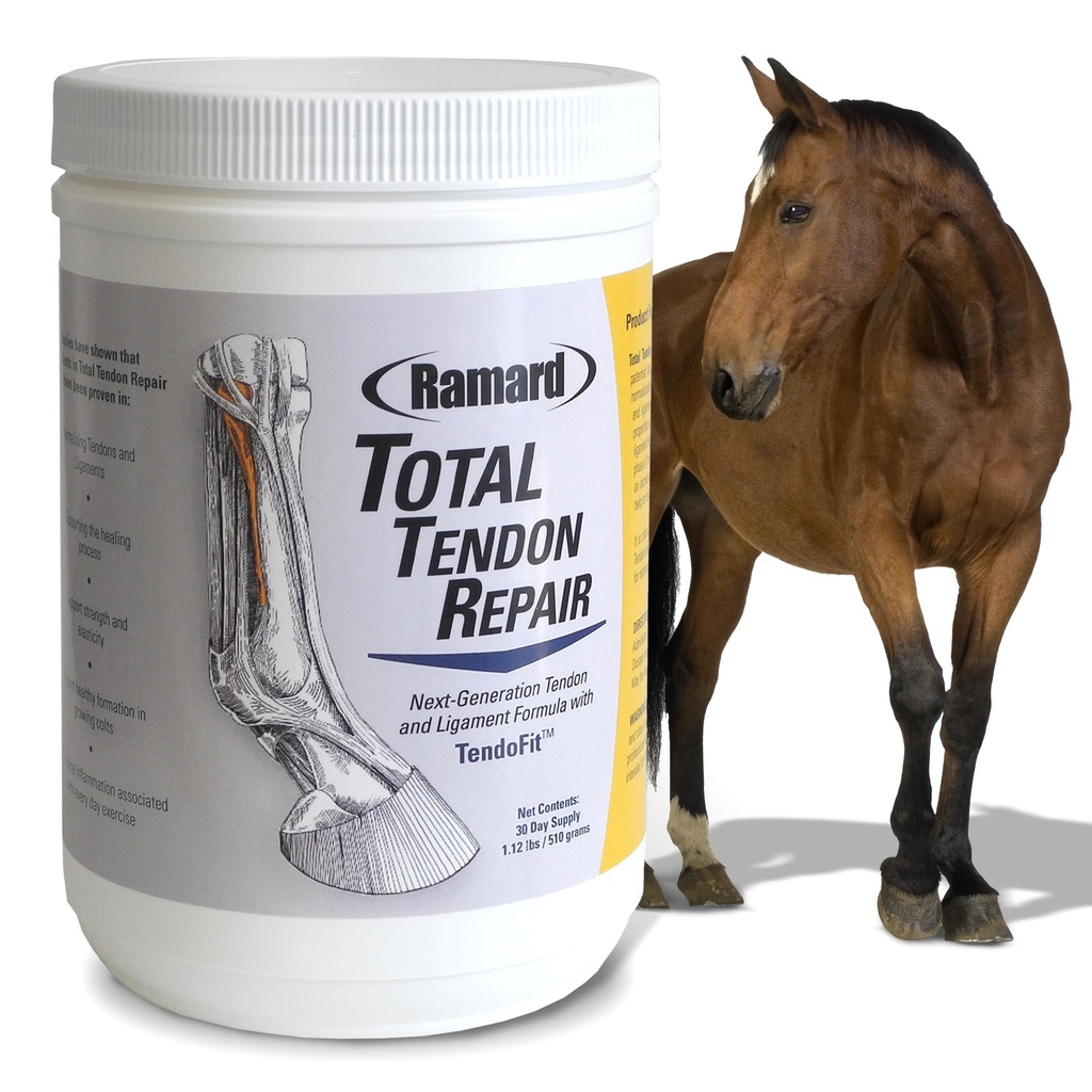Ramard Total Tendon Repair 