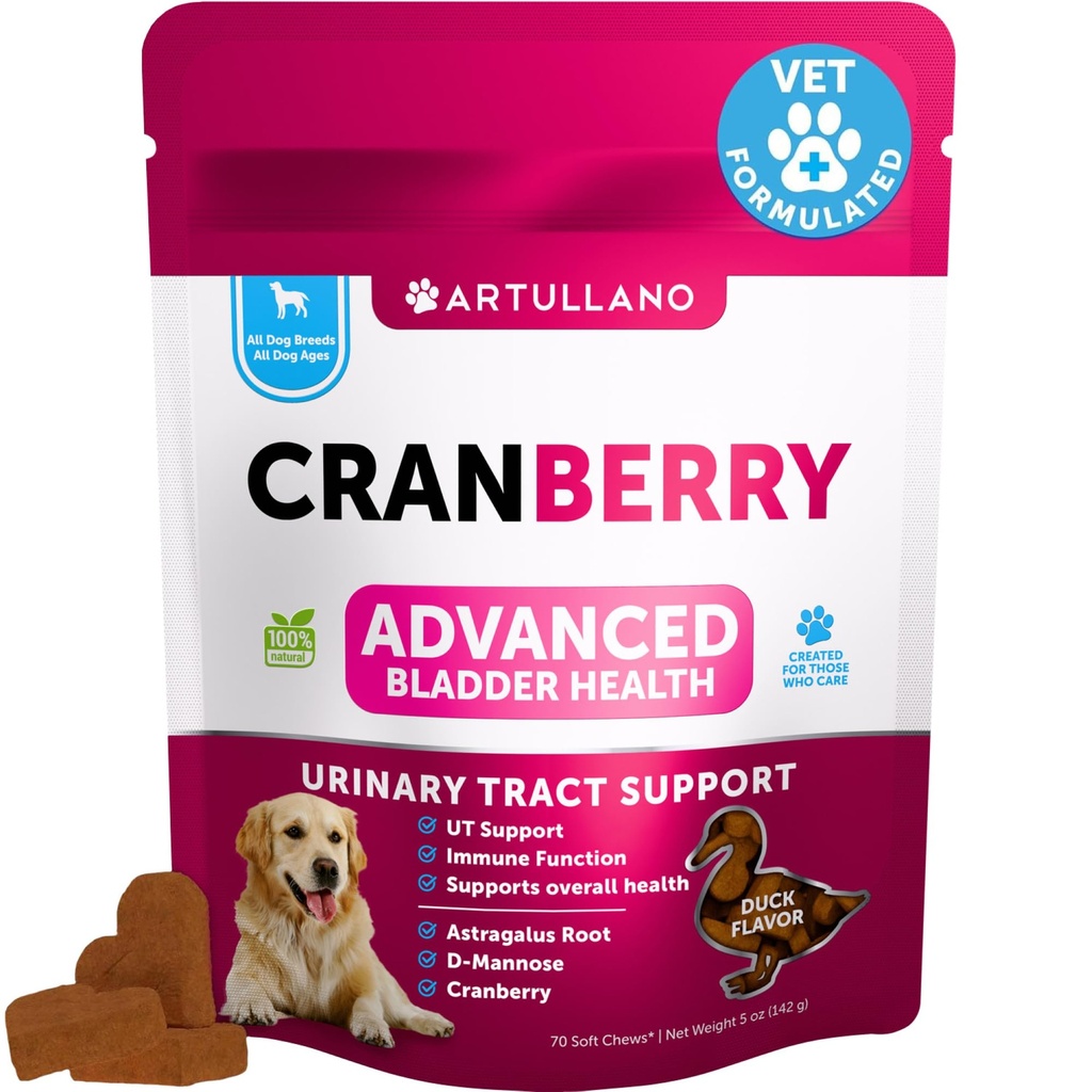 Pes UTI Liečba - Cranberry Supplement & Bridder Control pre psy - močové tract infekcie Incontinence Pill, Bladder Stones - UTI Medicine Treats - 70 mäkké žuvačky pre podporu obličiek s rybím olejom