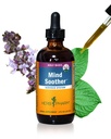 Herb Pharm Mind Sother: Holy Basil: Liquid Kava Supplement to Support Calm & Relaxation, Stabilizing Support for Nervisive System, Made with Noble Kava & Lavender Flower, Vegan, Gluten-Free, 4 oz*