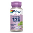 SOLARAY Ginkgo Biloba Extract with Gotu Kola - Ginko Biloba Kapsule od Brain Health Support - Vegan, Lab Overené, 60-dňová záruka - 60 Servings, 60 VegCaps (30 VegCaps)