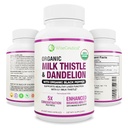 Max Absorbcia USDA organické mlieko bodkované 5:1 Koncentrovaný extrakt (2000mg sila) & Organické púpava Root 