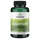 Swanson Hawthorn Extract (štandardizovaný) 250 miligramov 120 kapsúl