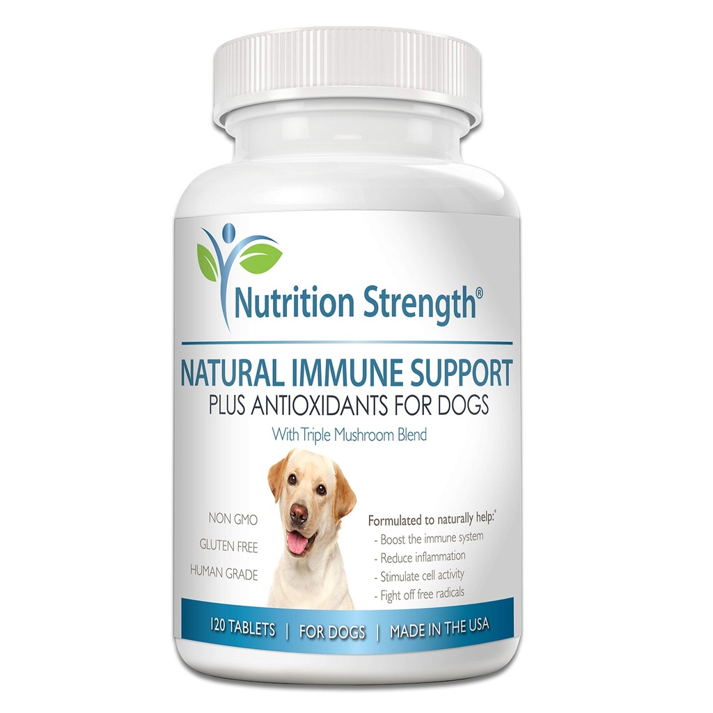 Imunitná podpora pre psy Plus Antioxidant, Reishi, Shiitake, Maitake, Turecko chvostové huby pre psy, s koenzýmom Q10, selén, vitamín A, 120 žuvacie tablety