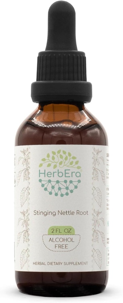 Stinging Nettle Root B60 Rastlinný extrakt bez obsahu alkoholu Tinktúra, koncentrované kvapalné kvapky Prírodné Stinging Nettle (Urtica Dioica) Sušený koreň (2 fl oz)