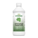 Dynamic Health Liquid Chlorofyl Peppermint 100 mg, Sodná meď Chlorofylíny s lucernou a Mulberry Lists, Plant Cleanse and Deodorizing, No Added Sugar, 16 Fl Oz