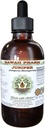 Juniper Liquid Extract bez obsahu alkoholu, Organic Juniper (Juniperus Monosperma) Sušený Berry Glycerit Hawaii Pharm Natural Herbal Supplement 4 oz