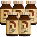 Fucoidan Powered with AHCC® Brown Seaweed Imunity Supplement with High Purity Organic Mekabu Mozuku Agaricus 5 fľaša - 800 Rastlinné kapsule vyrobené v Japonsku