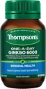 Thompson je One- A- Day Ginkgo 6000 mg 60 kapsúl