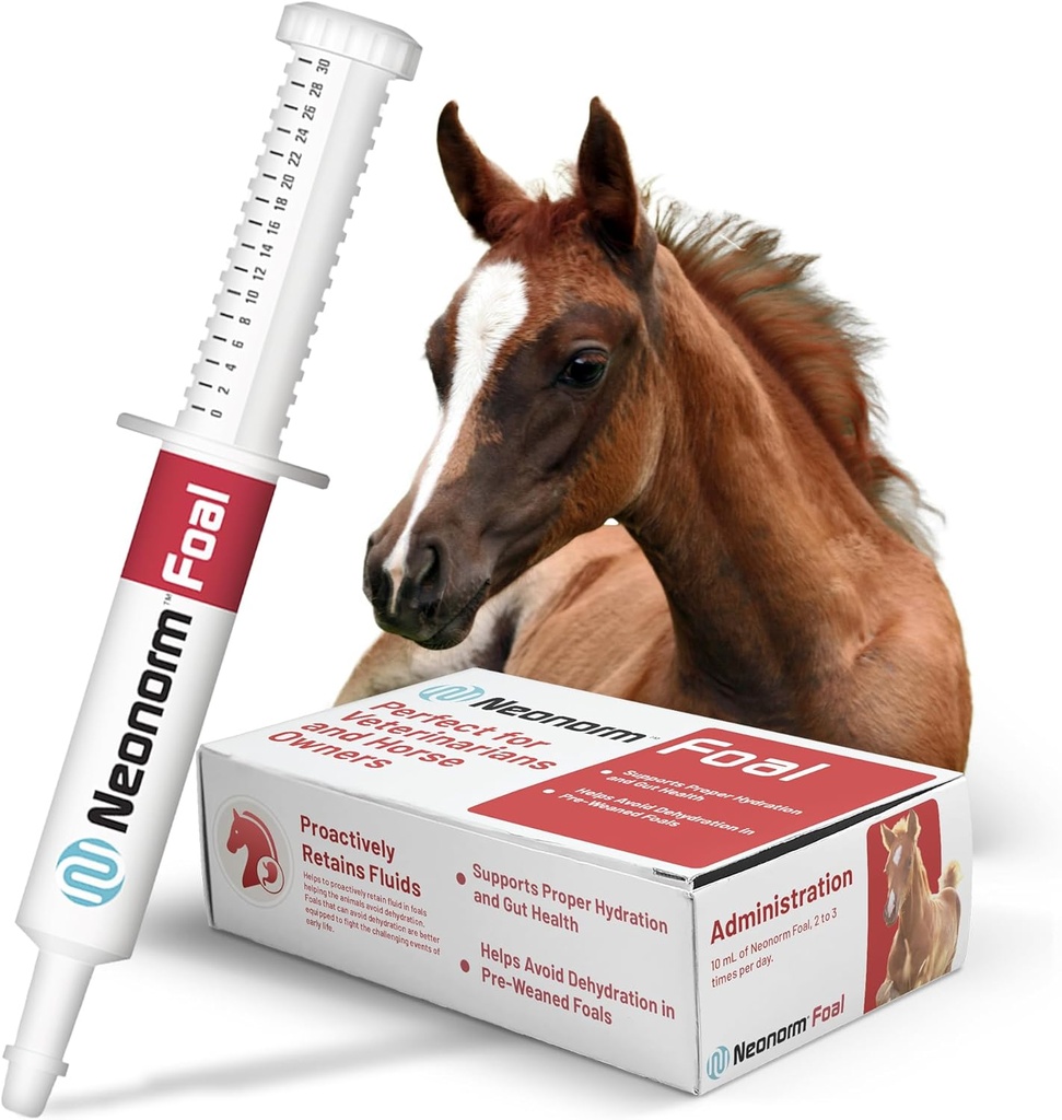 Jaguar Animal Health Foal - Equine Supplement Paste for The Support of Righter Hydration & Bowel Health - Plant-Based Product for Pre-Wased Foals (30 ml)