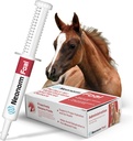 Jaguar Animal Health Foal - Equine Supplement Paste for The Support of Righter Hydration & Bowel Health - Plant-Based Product for Pre-Wased Foals (30 ml)