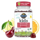 Záhrada života Deti Imunitná podpora Gummy s vitamínom C, D ako D3 & Zinok pre 3-v-1 Daily Children