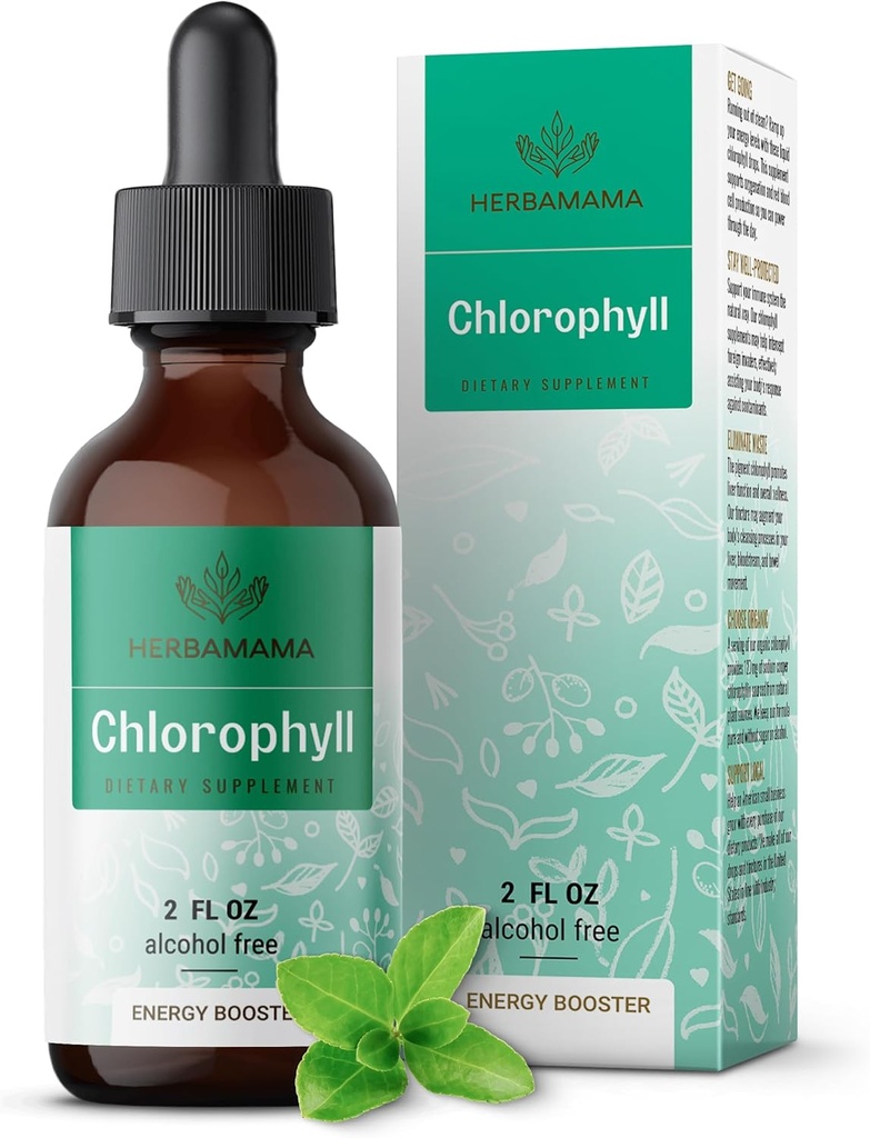 HERBAMA Chlorofyl Tekuté kvapky - Vegan Chlorofylín Extract for Detox & Cleanse - Non-GMO, Alkohol & Bezcukru Antioxidant doplnok pre imunitnú podporu, 28-Deň dodávky