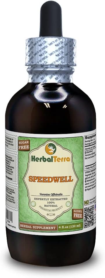 Speedwell (Veronica Officinalis) Glycerit, Organicky sušený Listy bez obsahu alkoholu Tekutý extrakt (názov brand: bylinnýTerra, hrdo vyrobený v USA) 4 fl.oz (120 ml)