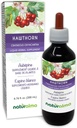 Naturalma Hawthorn (Crataegus oxyacantha) Leaf and Flower Alkohol-Free Tinture - 6.76 fl oz Liquid Extract in Drops - Herbal Supplement - Vegan