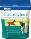 Sav-a-Caf Electrolytes PlusTM Doplnok 6 libra (6 LB) Vrece