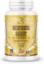Organická zázvor koreňový prášok (Zingiber officinale) Podpora trávenia - 60 Veggie Kapsule
