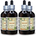 Cordyceps (Cordyceps Sinensis) Tinktúra, Organicky sušený práškový tekutý extrakt z huby (názov rastliny: bylinný terasa, hrdo vyrobené v USA) 4x4 fl.oz (4x120 ml)