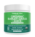 Organický jačmeň Trávový džús prášok - Pestovaný vo vulkanickej pôde Utah - Raw & BioActive Form, za studena-Pressed potom CO2 sušený 
