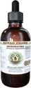 Echinacea Liquid Extract bez obsahu alkoholu, Echinacea (Echinacea Angustifolia) Sušená koreňová glycerit Hawaii Pharm Natural Herbal Supplement 4 oz