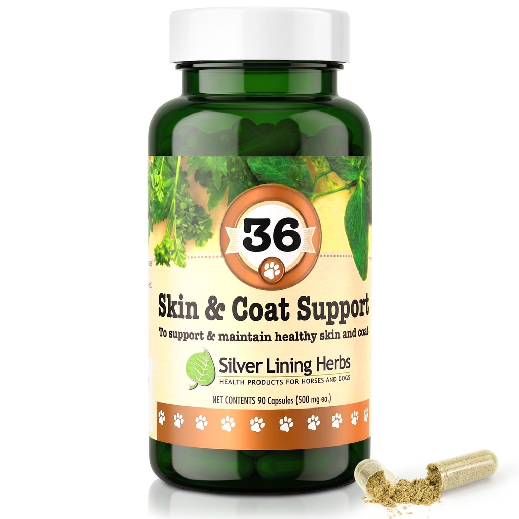 Silver Lining Herbs 36 Psinka & Coat Support - Prírodné bylinné doplnky k pevnosti proti životnému prostrediu - Bylinné kože a kozie doplnky pre psy - 90 Kapsule