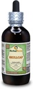 Skullcap (Scutellaria Lateriflora) Glycerit, Organicky sušený Herb bez obsahu alkoholu Tekutý extrakt (názov brand: HerbalTerra, hrdo vyrobené v USA) 4 fl.oz (120 ml)