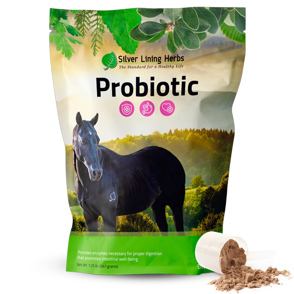 Strieborné Lining Byliny Konské probiotiká Tráviace doplnky - Tráviace Enzyme & Gut Zdravie Probiotické Doplnky pre kone - Obsahuje 13.2 Milión CFUs Probiotické Kmene - 1.25 lb 60-Day Supply