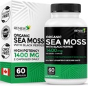Renew Activitys Sea Moss Triple-Action Antioxidant Blend s BioPine 