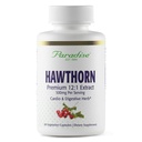 Rajové byliny Hawthorn Berry, Active Whole Spectrum Extract, Super Potent, Ultra Pure, Vegan, Non-GMO, Gluten Free, 60 Vegetariánske kapsuly