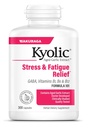 Kyolic Aged Cesnakový extrakt Formula 101, Stres a únavová úľava, 300 Kapsule.