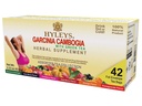 HYLEYS čaj Garcinia Cambogia zelený čaj s rôznymi chuťami - 42 čajové tašky (12 balenie - 504 čajové tašky celkom)
