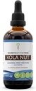 Tajomstvá extraktu bez obsahu alkoholu Tribe Kola Nut Tincture, Kola orech (Cola Acuminate) Sušený lint (4 FL OZ)