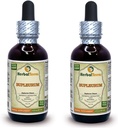 Bupleurum (Bupleurum Chinense) Tinktúra, Organicky vysušený koreňový tekutý extrakt (názov brand: bylinný teror, hrdo vyrobený v USA) 2x2 fl.oz (2x60 ml)